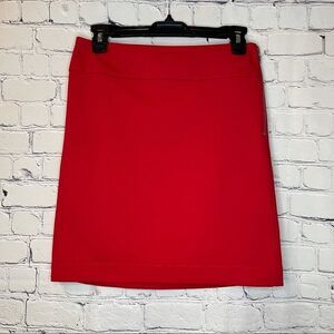 Banana Republic Mini Skirt